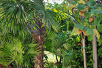 Portoro�
