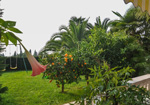 Portoro�