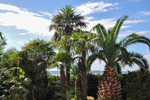 Portoro�